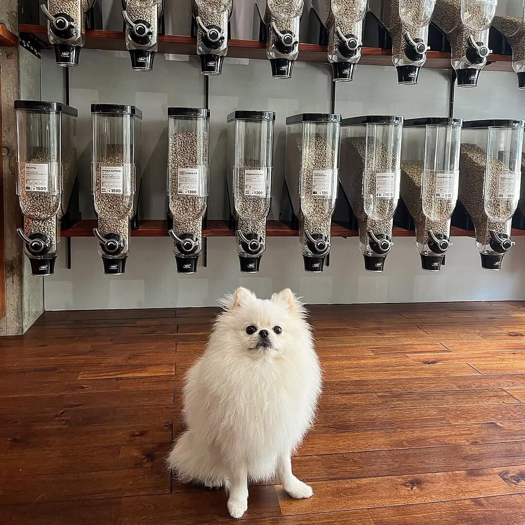 Green Beans Coffeeで愛犬と過ごすひととき。北参道の都会派ペットフレンドリーカフェ